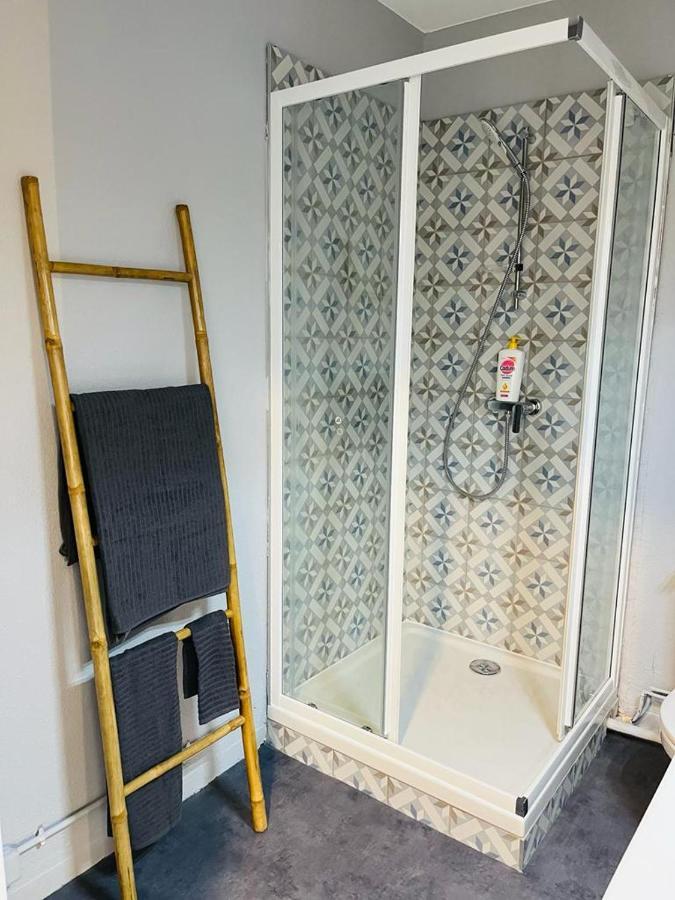 Espace 500 - Cosy, Wifi & Vue Sur La Ville Saint-Etienne  Dış mekan fotoğraf